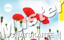 Monthly ticket VBB-Umweltkarte in advanced sale