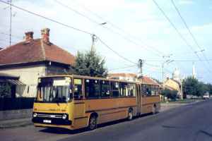 Ehemaliger Eberswalder Gelenkobus Nr. 01 vom ungarischen
Typ Ikarus 280.93 in Timisoara/Rumänien